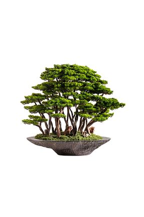 گیاهان داخل ساختمان Omnia Concept - کد 696209754