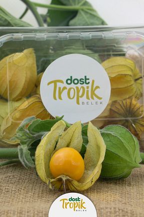 میوه Dost Tropik Belek - کد 288544843