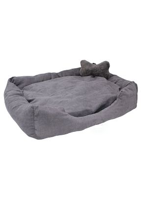  طوسی Pandogo - کد 364342115