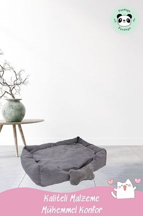  طوسی Pandogo - کد 364342115