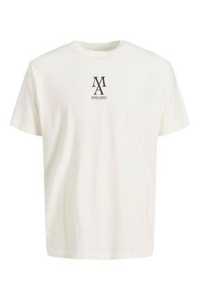 تی شرت سفید مردانه رگولار یقه گرد تکی کد 705164417