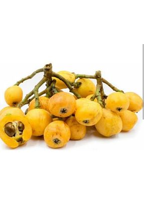 نهال میوه پیوندی Doğan Fidancılık - کد 430269924
