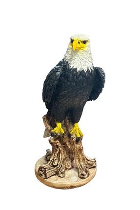 اجسام تزئینی و بیبلو مشکی Alçı PETS & OTHERS - کد 670160994