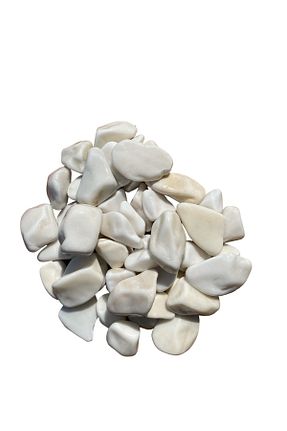 دکوراسیون و اکسسوری اکواریوم T MAY - کد 678274953