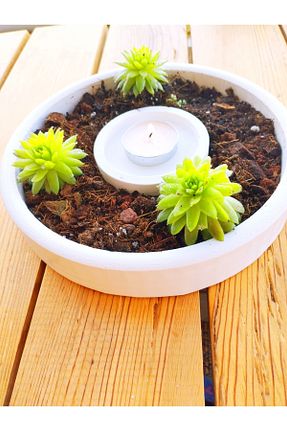کاسه و بشقاب دکوراتیو سفید پرسلن stone powder decorative - کد 740979764