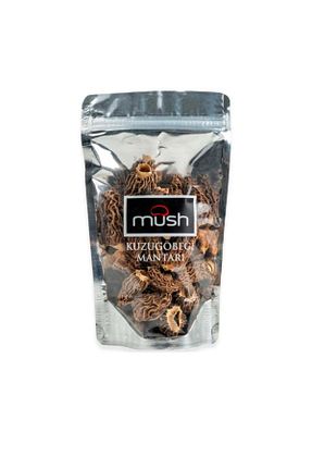 میوه خشک Mush - کد 744368281