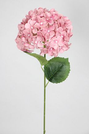 گل خشک و مصنوعی صورتی Yapay Çiçek Deposu - کد 744371505