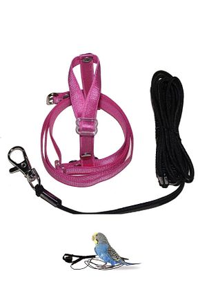  Petcalvit - کد 100547792