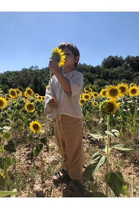 شلوار زرد بچه گانه پنبه ای BEBEĞİME ÇORAP - کد 747414099