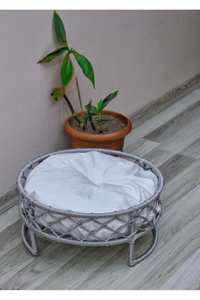  طوسی TASARYUM - کد 755164383