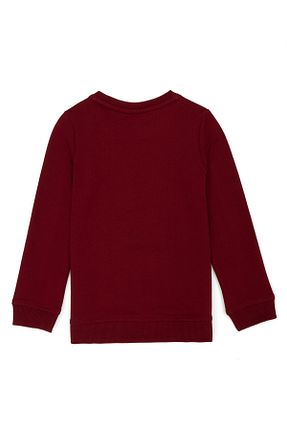 سوئیشرت قهوه ای مردانه ساده U.S. Polo Assn. - کد 756777235