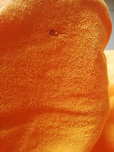 Müşteri yorumu görseli