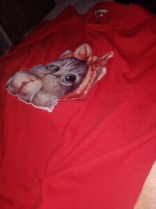 Müşteri yorumu görseli