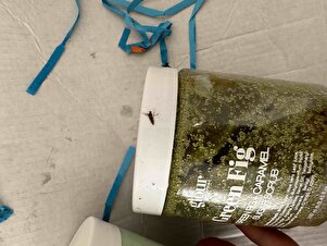 Müşteri yorumu görseli