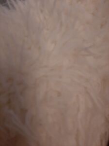 Değerlendirme fotoğrafı