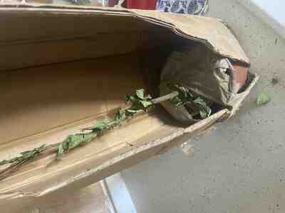 Müşteri yorumu görseli