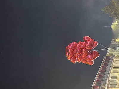 Müşteri yorumu görseli