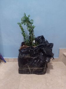 Müşteri yorumu görseli