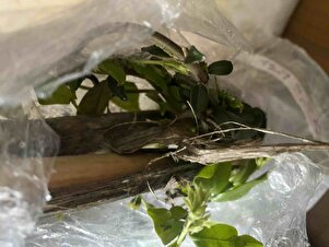 Müşteri yorumu görseli