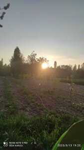 Müşteri yorumu görseli