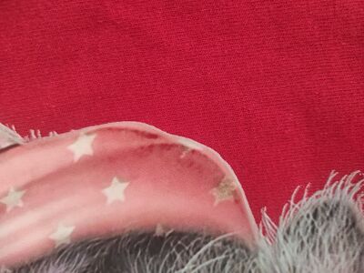 Müşteri yorumu görseli