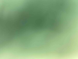 Değerlendirme fotoğrafı