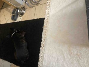 Müşteri yorumu görseli