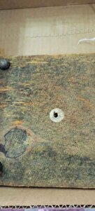 Müşteri yorumu görseli