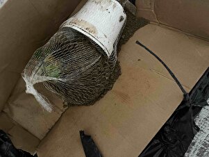 Müşteri yorumu görseli