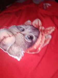 Müşteri yorumu görseli