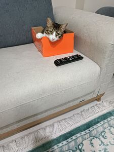 Müşteri yorumu görseli