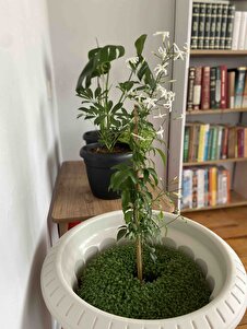 Müşteri yorumu görseli