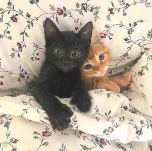 Değerlendirme fotoğrafı