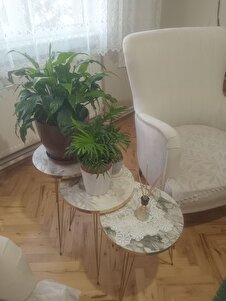 Değerlendirme fotoğrafı