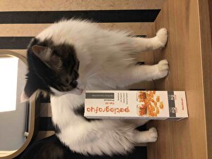 Değerlendirme fotoğrafı