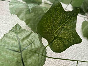 Değerlendirme fotoğrafı