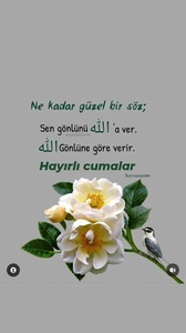 yorum görseli