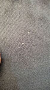 Müşteri yorumu görseli