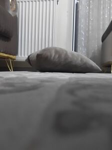 Müşteri yorumu görseli