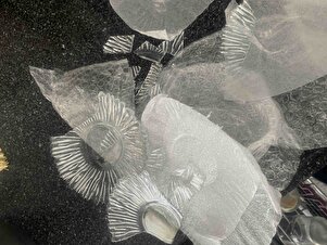 Müşteri yorumu görseli