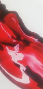 Değerlendirme fotoğrafı