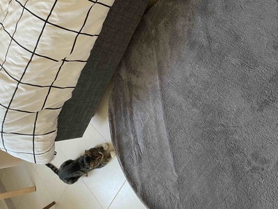 Müşteri yorumu görseli