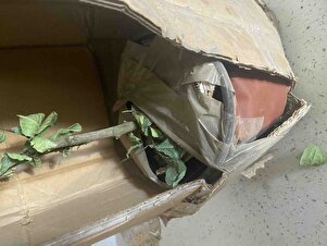 Müşteri yorumu görseli