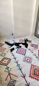 Müşteri yorumu görseli