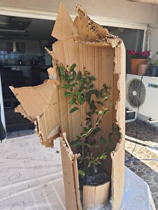 Müşteri yorumu görseli