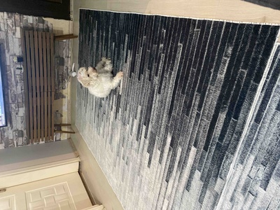 Müşteri yorumu görseli