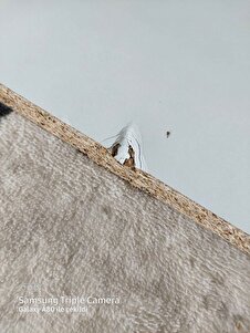 Müşteri yorumu görseli