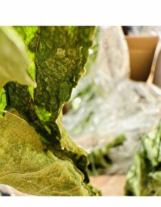 Müşteri yorumu görseli