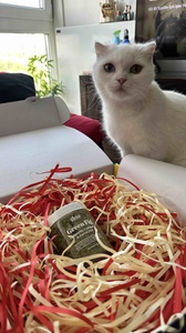 Müşteri yorumu görseli