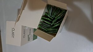صورة المراجعة